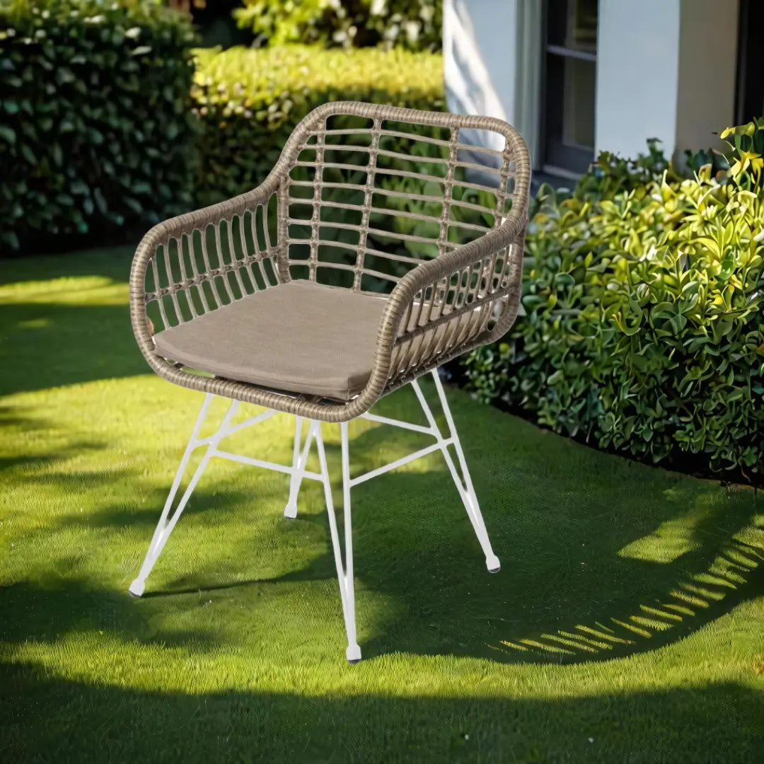 Chaise de jardin Ari BigBuy Home